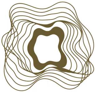 66888.me Logo